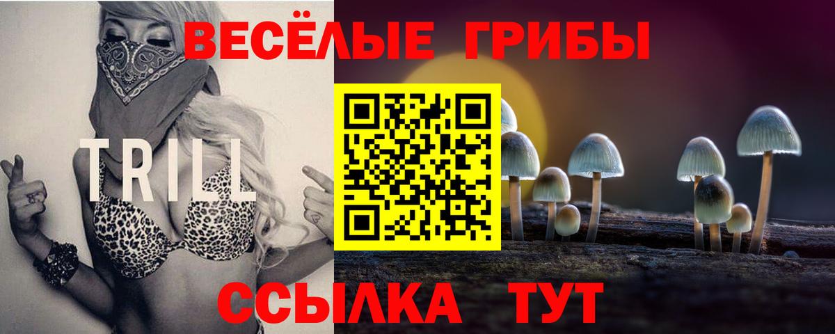 Нововоронеж  Псилоцибиновые грибы Cubensis  Псилоцибиновые грибы мухоморы  Вход с VPN 
